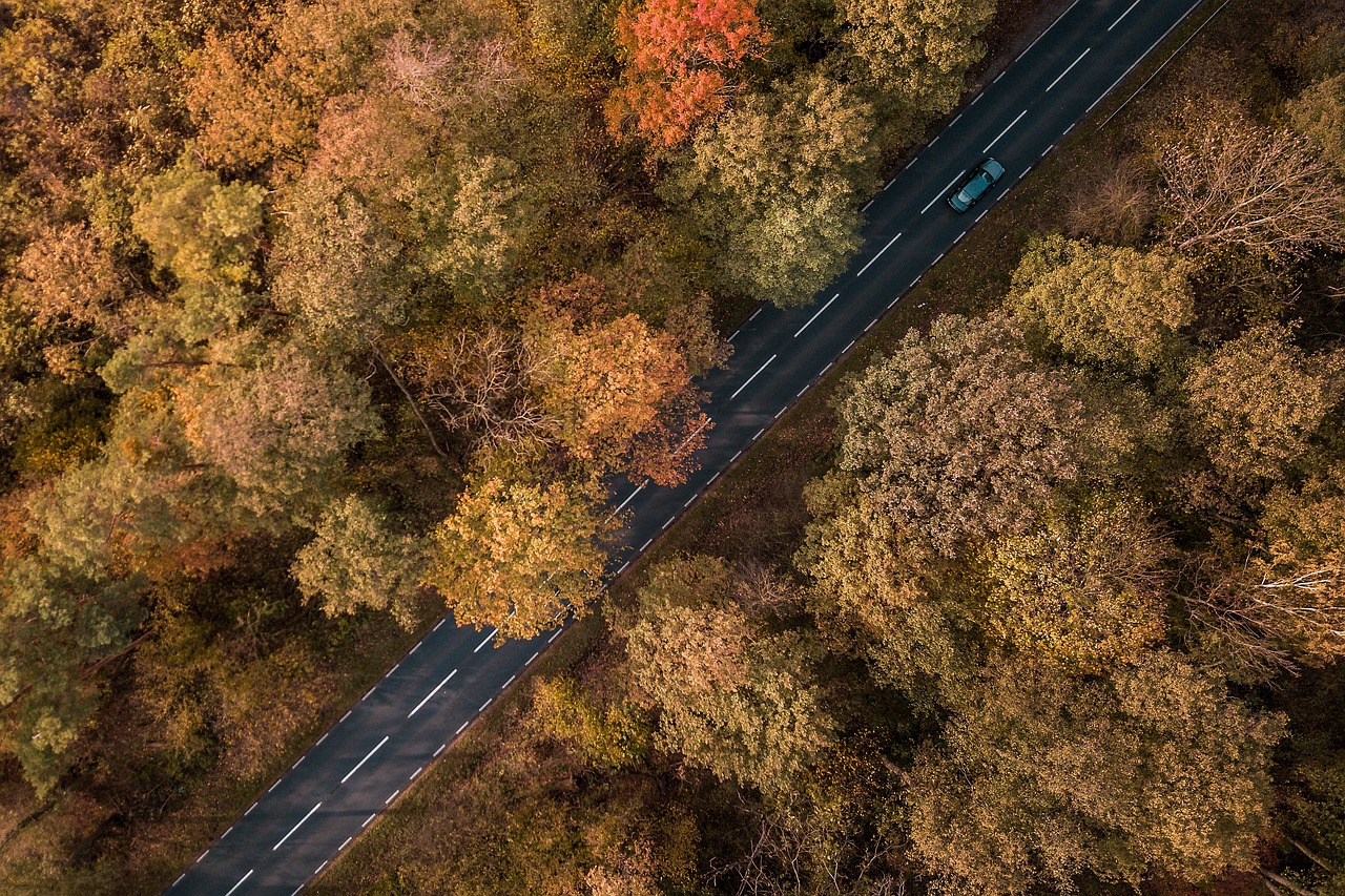 Canada eTA Multiple Entries: aerial view of a car driving on a road through an autumn forest